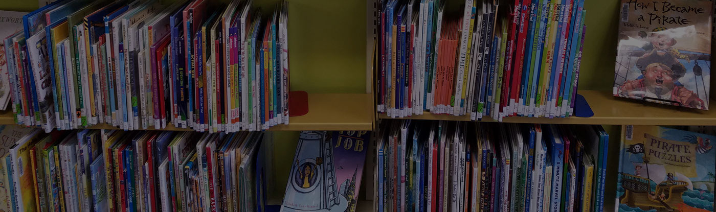Photo of library books on a shelf